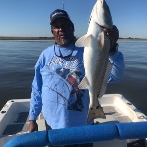 Meet your Posher, Steven